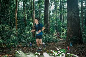 BIB: 
                            <button type="button" onclick="openModal(26069422)" class="btn btn-primary btn-sm float-right btn-popup" data-toggle="modal" data-target=".modal-high-quality">
                        <i class="fas fa-shopping-cart"></i> Add to Cart
                    </button>
                                            <button type="button" onclick="isThisMe(26069422, true)" class="btn btn-success btn-sm float-right btn-popup btn-isme hidden" data-toggle="tooltip" data-placement="bottom" title="นี่คือรูปของคุณใช่ไหม คลิกที่นี่เพื่อเอาเข้าอัลบั้ม">
                        <i class="fas fa-plus"></i> Add to album
                    </button>
                    <button type="button" onclick="isThisMe(26069422, false)" class="btn btn-warning btn-sm float-right btn-popup btn-isnotme hidden">
                        <i class="fas fa-ban"></i> Remove from album
                    </button>